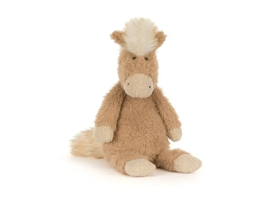 Canterneigh Pony