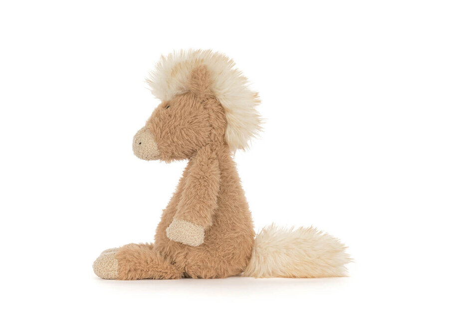 Canterneigh Pony