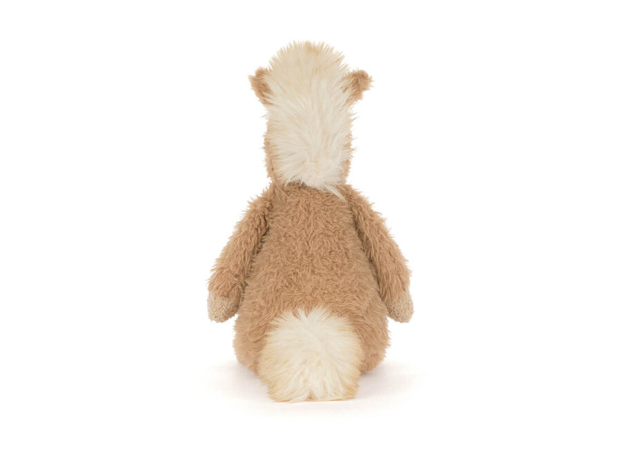Canterneigh Pony