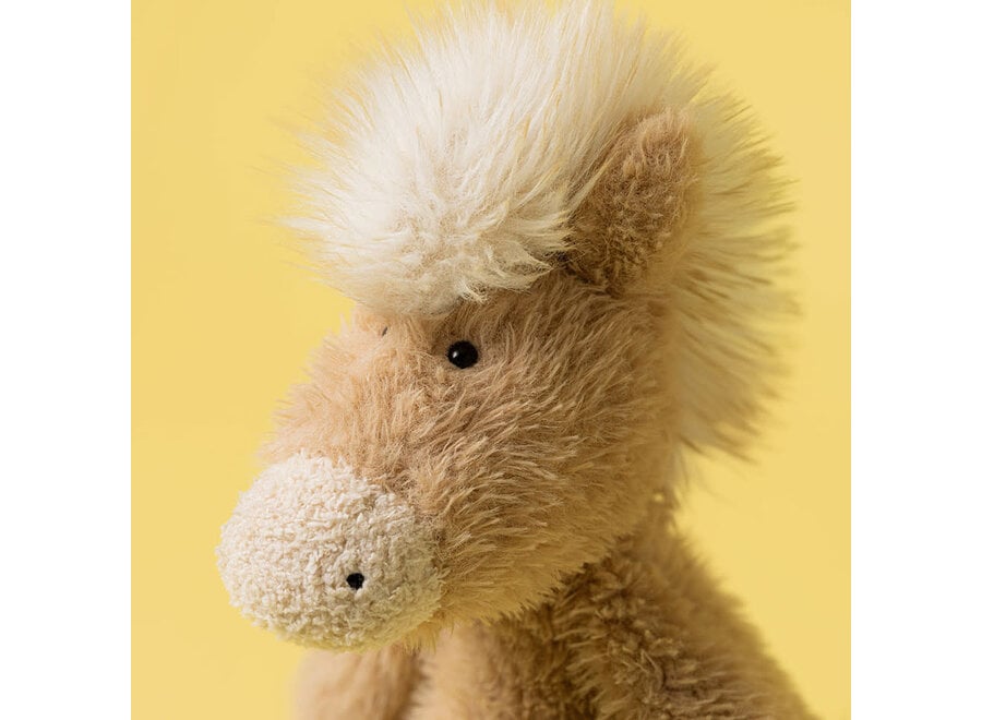 Canterneigh Pony