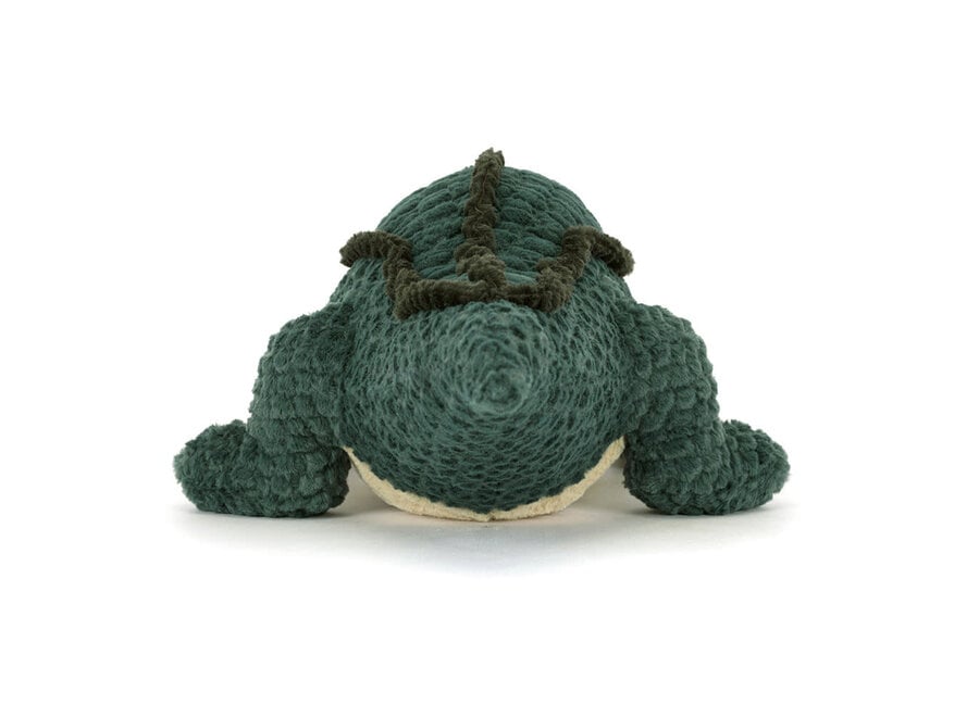 Allexi Alligator