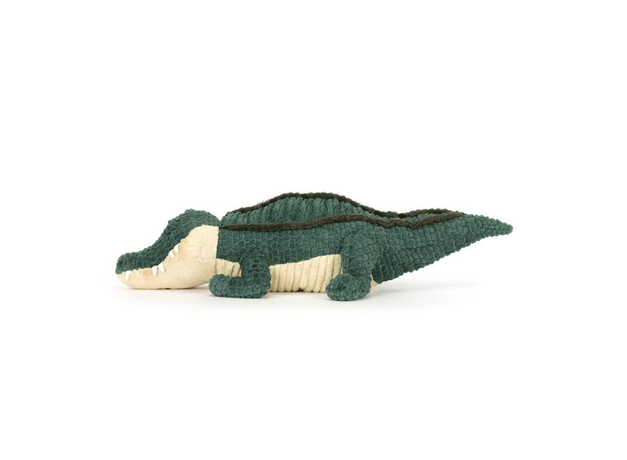 Allexi Alligator