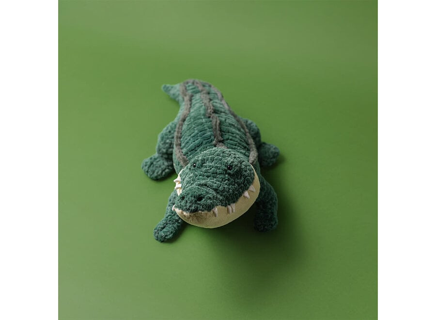 Allexi Alligator