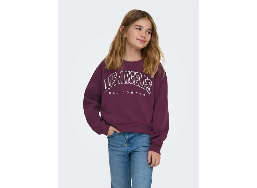 Trui sweat LS noos - Los Angeles California - Mauve Wine