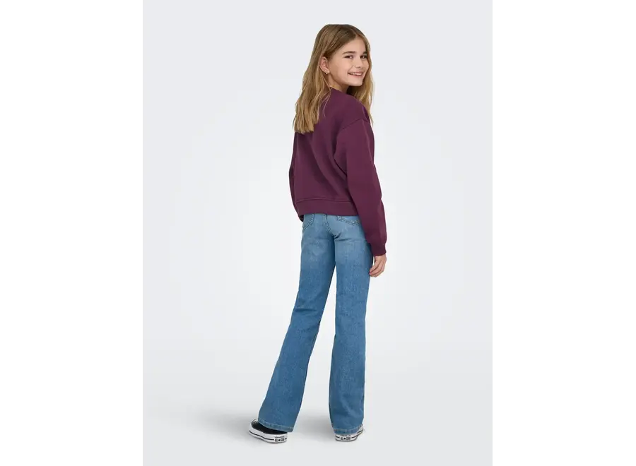 Trui sweat LS noos - Los Angeles California - Mauve Wine
