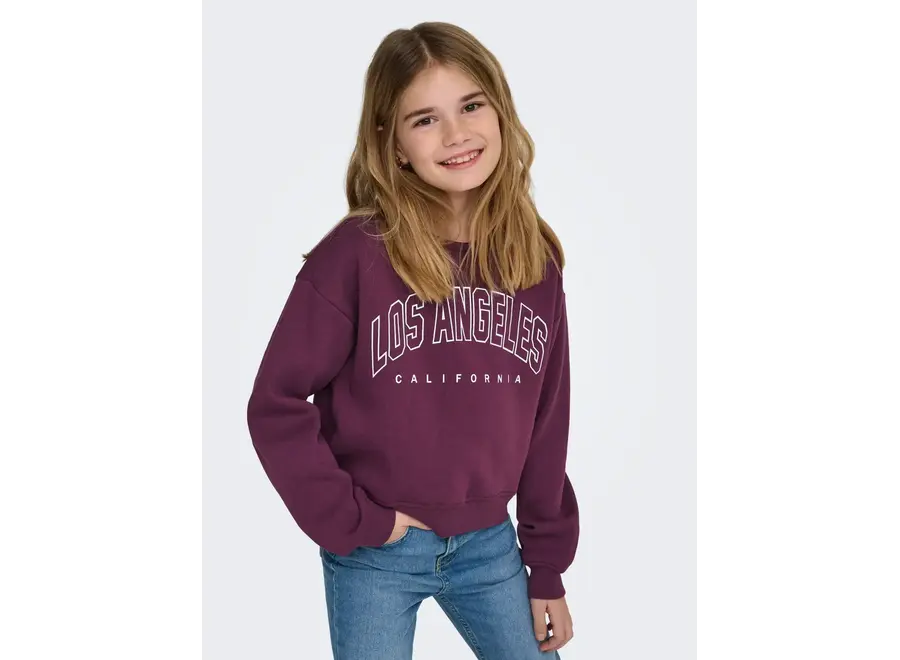 Trui sweat LS noos - Los Angeles California - Mauve Wine