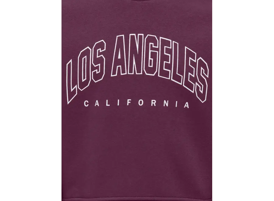 Trui sweat LS noos - Los Angeles California - Mauve Wine
