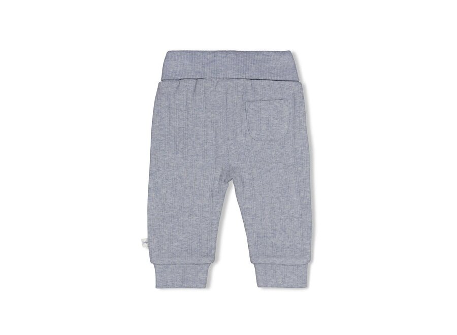 Broek rib - Breakfast Buddy Blauw melange