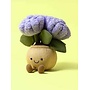 Amuseables Hydrangea