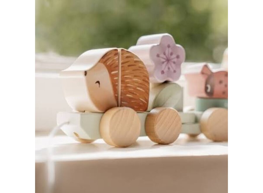 Blokkentrein Egel - Fairy Garden