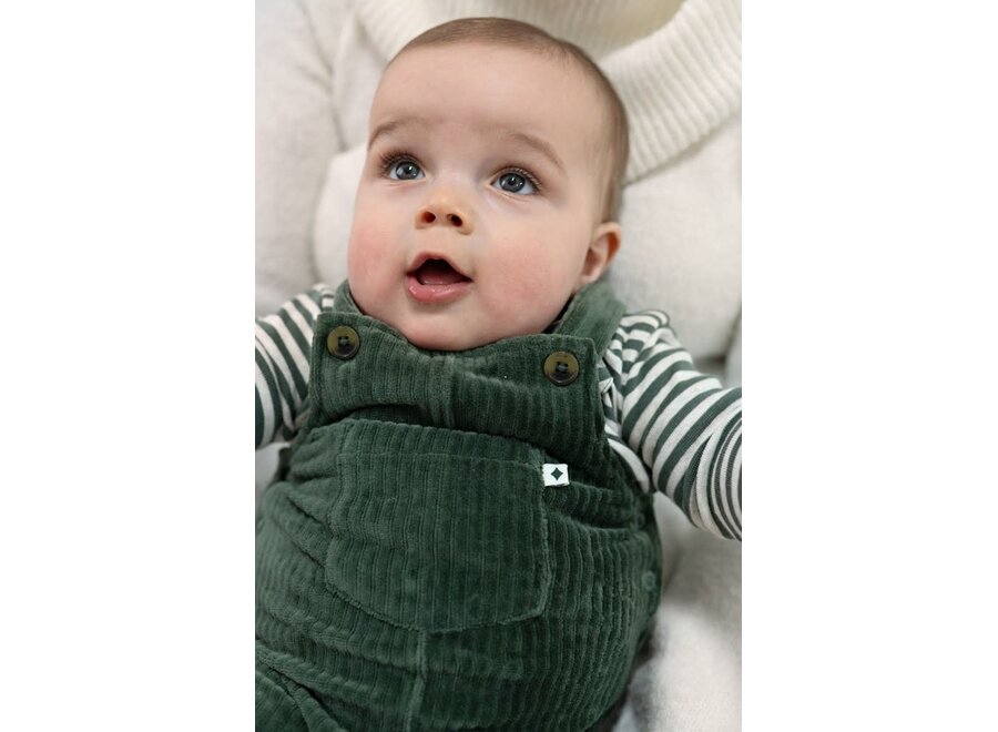 Longsleeve rib met streep - Wiggle and Waddle - Groen