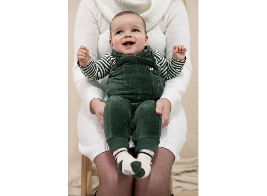 Longsleeve rib met streep - Wiggle and Waddle - Groen