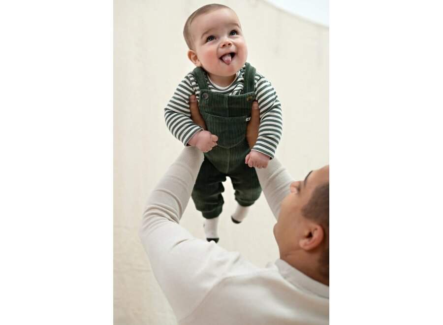 Longsleeve rib met streep - Wiggle and Waddle - Groen