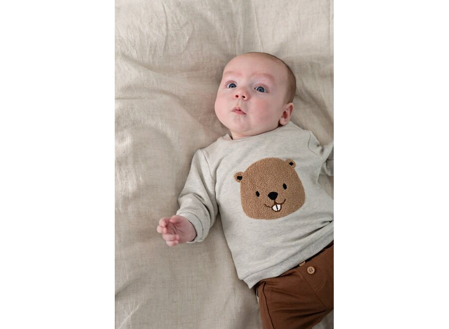 Sweater - Tiny Timber Tales - Grijs Melange