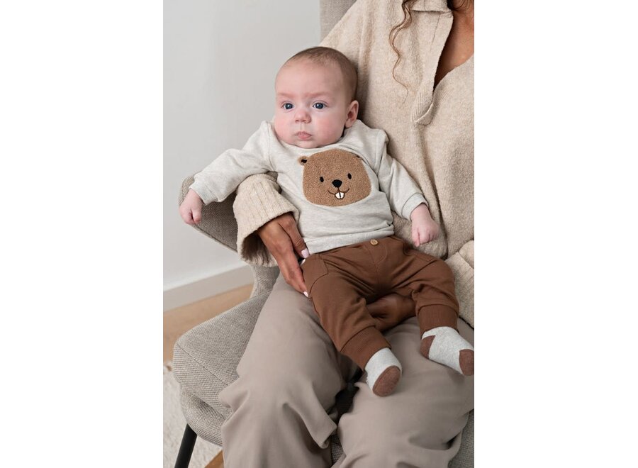 Sweater - Tiny Timber Tales - Grijs Melange