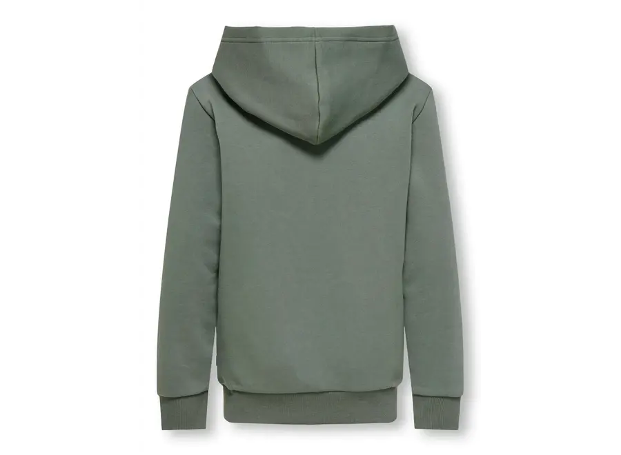 Vest Ceres zip hoodie - Castor Gray