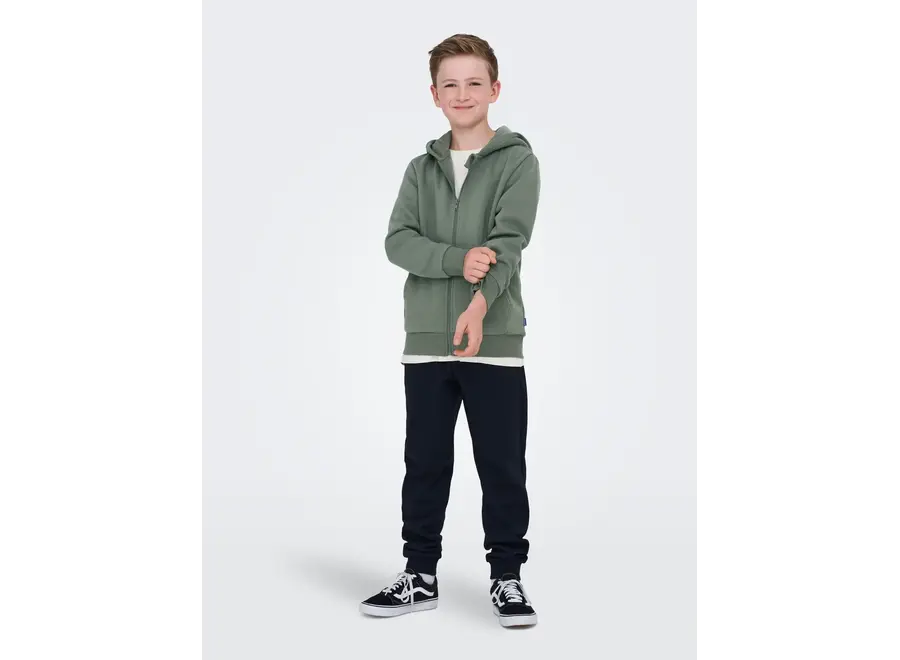 Vest Ceres zip hoodie - Castor Gray