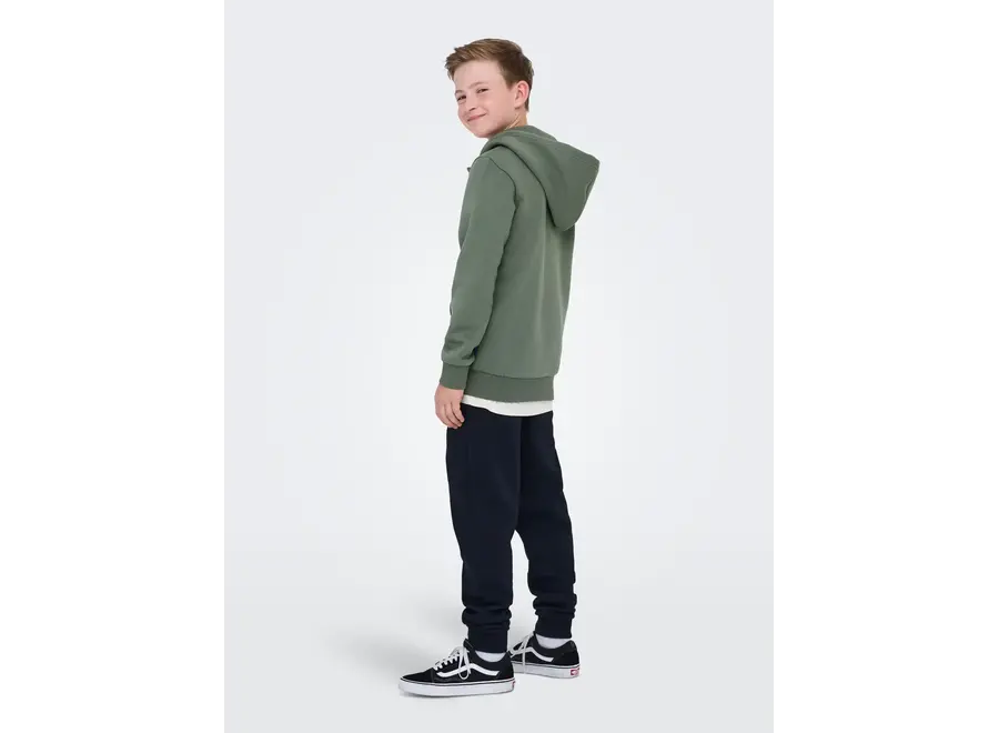Vest Ceres zip hoodie - Castor Gray