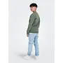 Crew neck Ceres noos Castor Gray