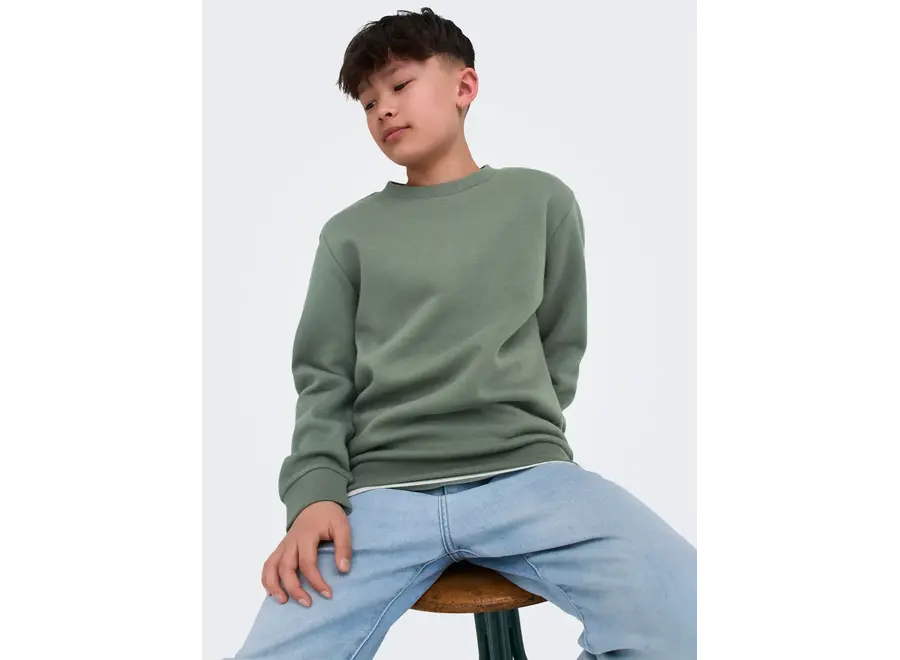 Crew neck Ceres noos Castor Gray