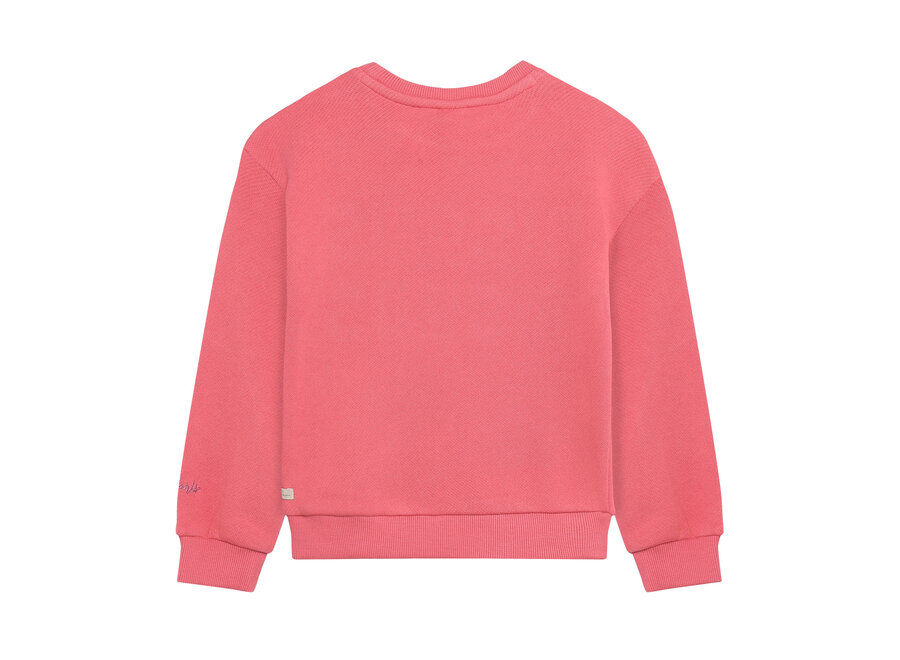Sweater Bisous - Desert Rose