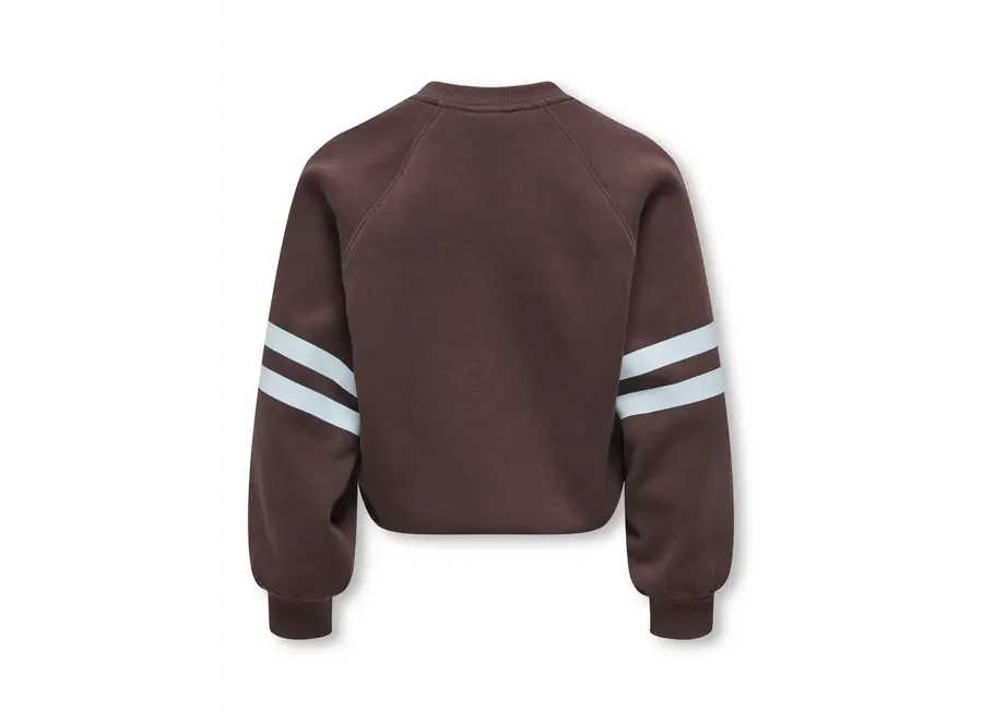 Trui Coletta L/S V-Neck - Coffee Bean/Club