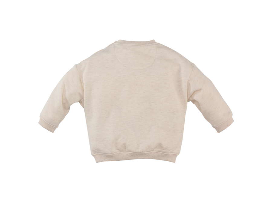 Beau Beige melange