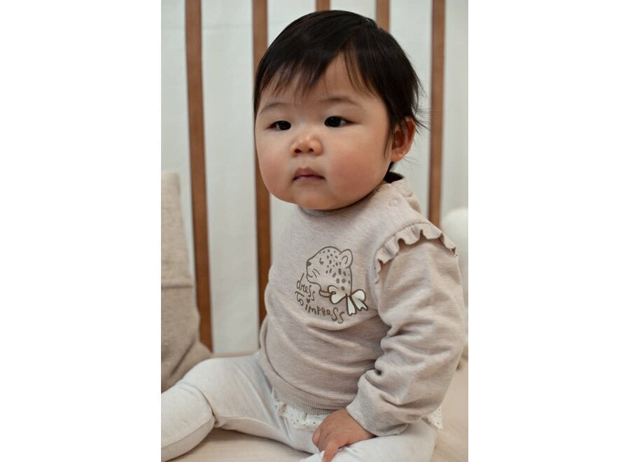 Sweater - Dress to Impress taupe melange