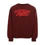 Little scuba sweat Chestnut