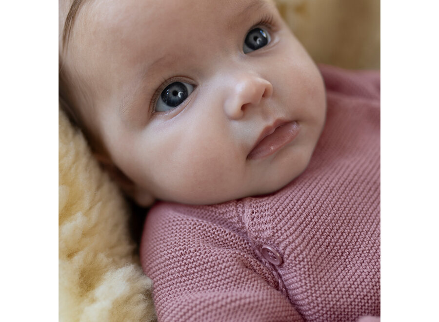 U Cardigan Knit ls Pino Deauville Mauve