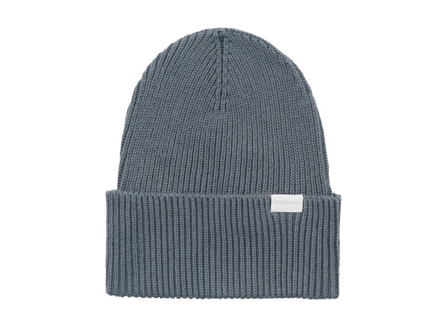 Beanie | Hat Stormy Weather