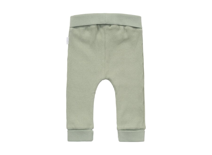Pants regular fit Iceberg Green