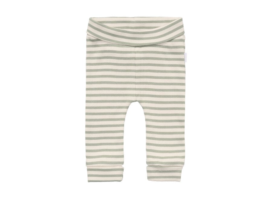 Pants regular fit stripe Iceberg Green