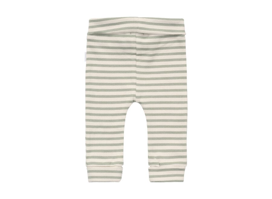 Pants regular fit stripe Iceberg Green