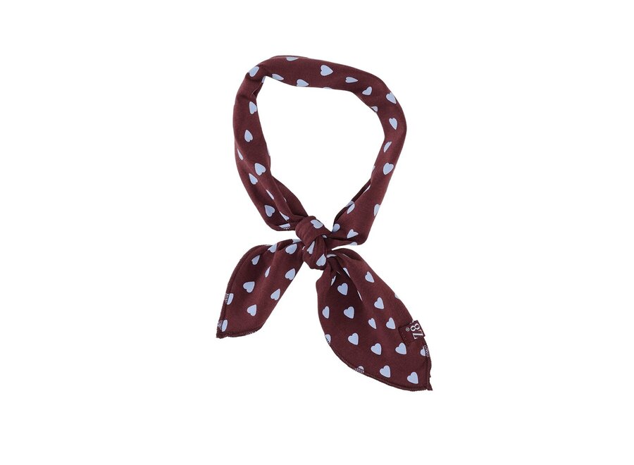 Fiene Chocolate Berry brave