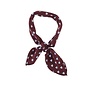 Fiene Chocolate Berry brave