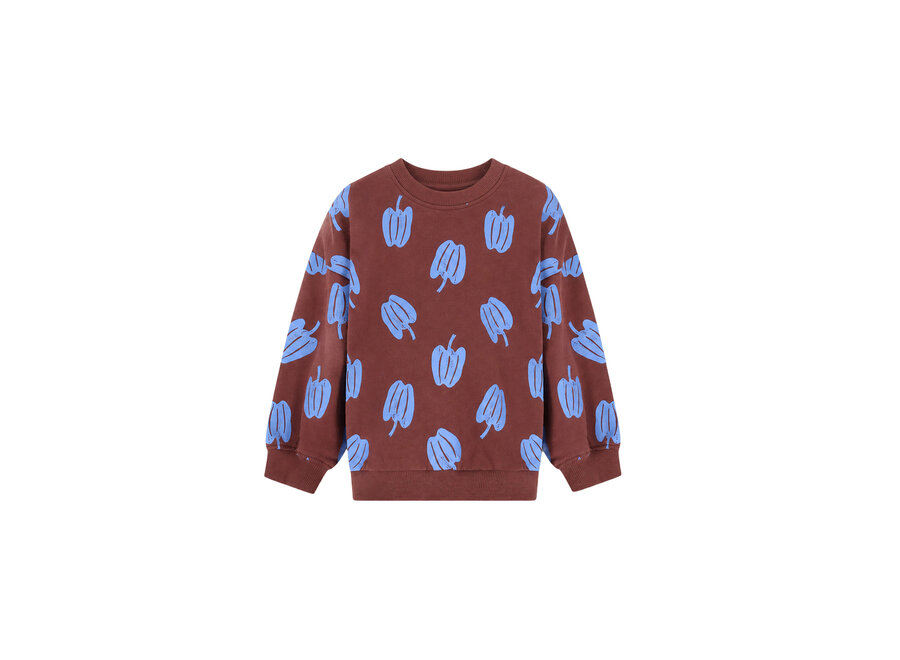 Billie Sweater - Paprika AO