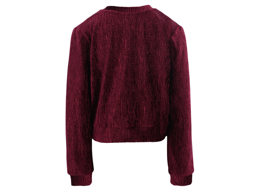 Little velvet crinkle top Ruby red