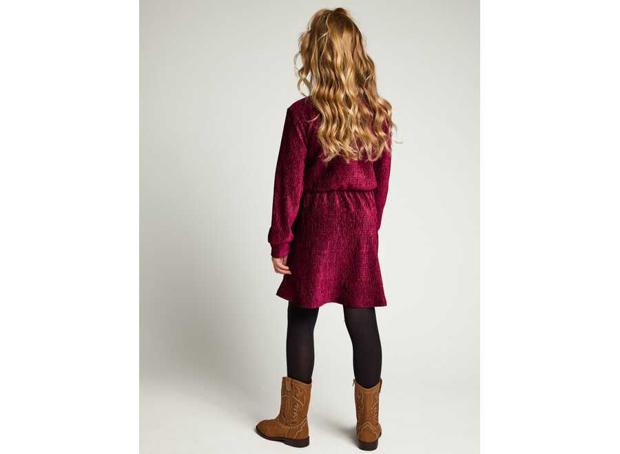 Little velvet dress Ruby red