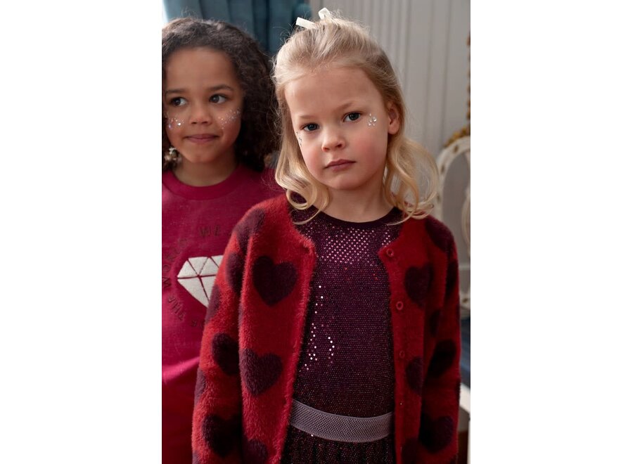 Longsleeve pailetten - Daily Princess Bordeaux