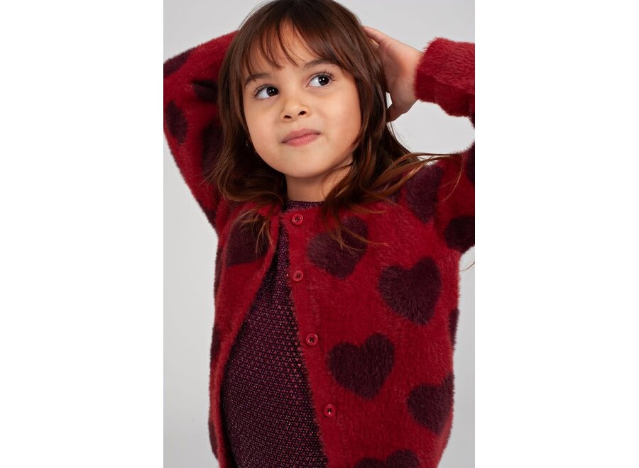 Longsleeve pailetten - Daily Princess Bordeaux