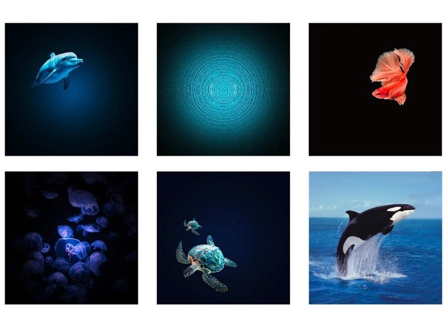 KIDYSTAR Beeldprojector Oceanen en zeeën