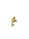 Dolfijn