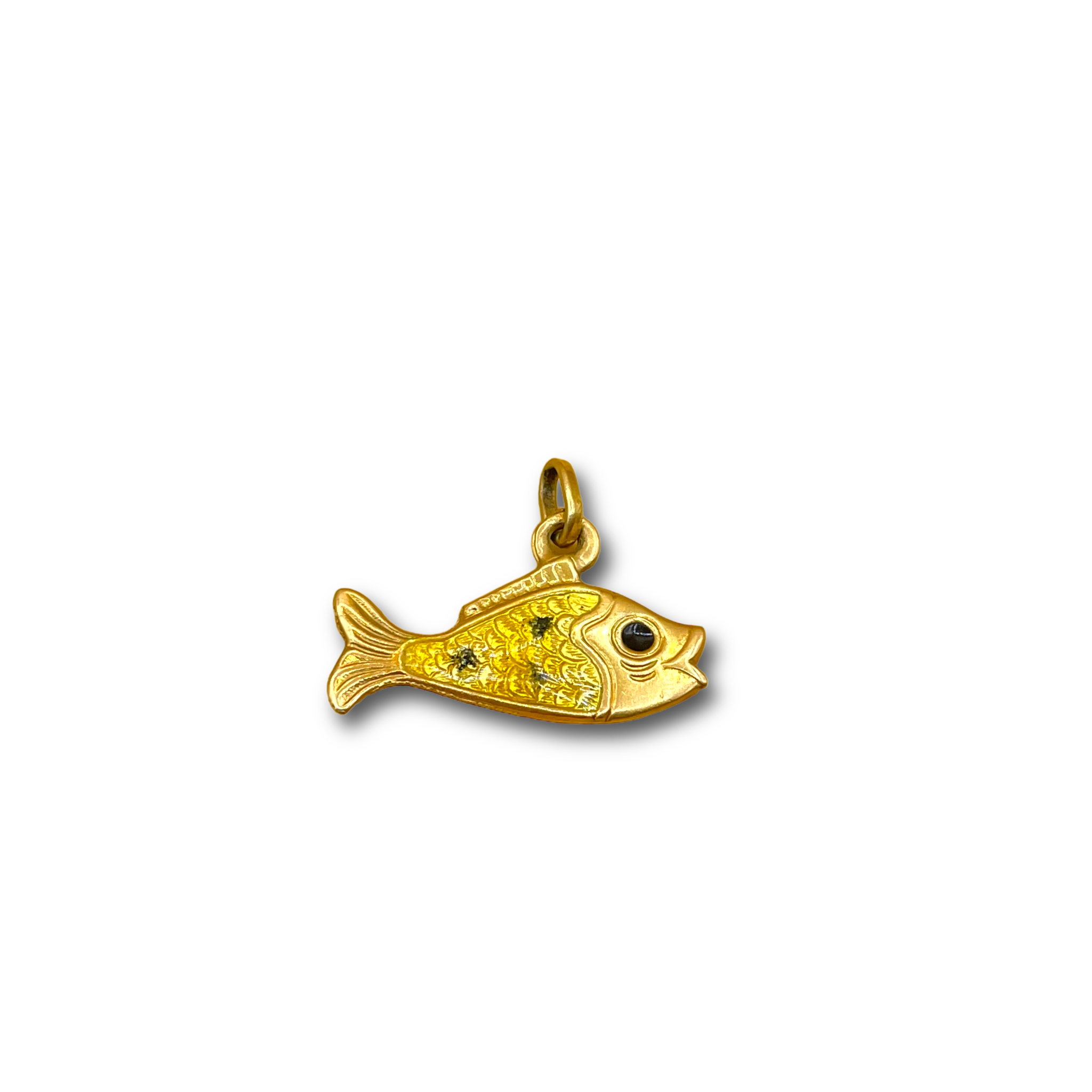 Vis