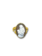 GAIA Gaia