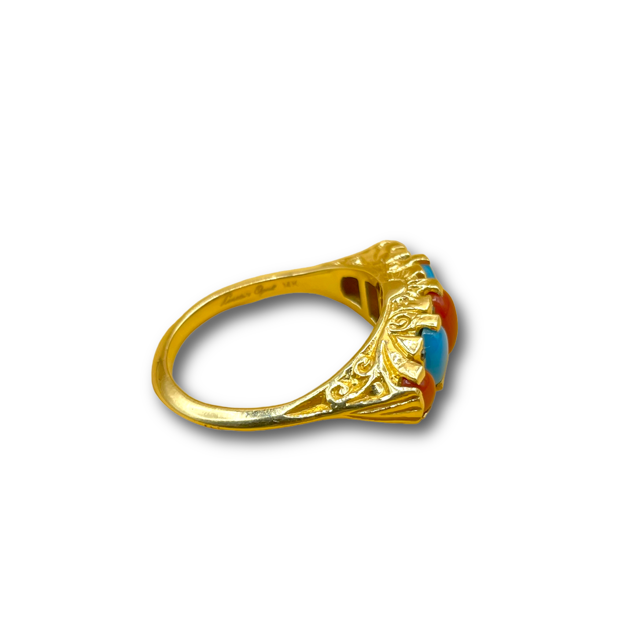 Day and Night Turquoise Koraal