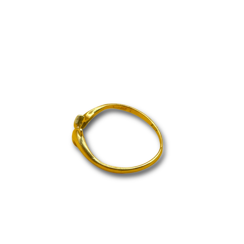 Dolphin ring