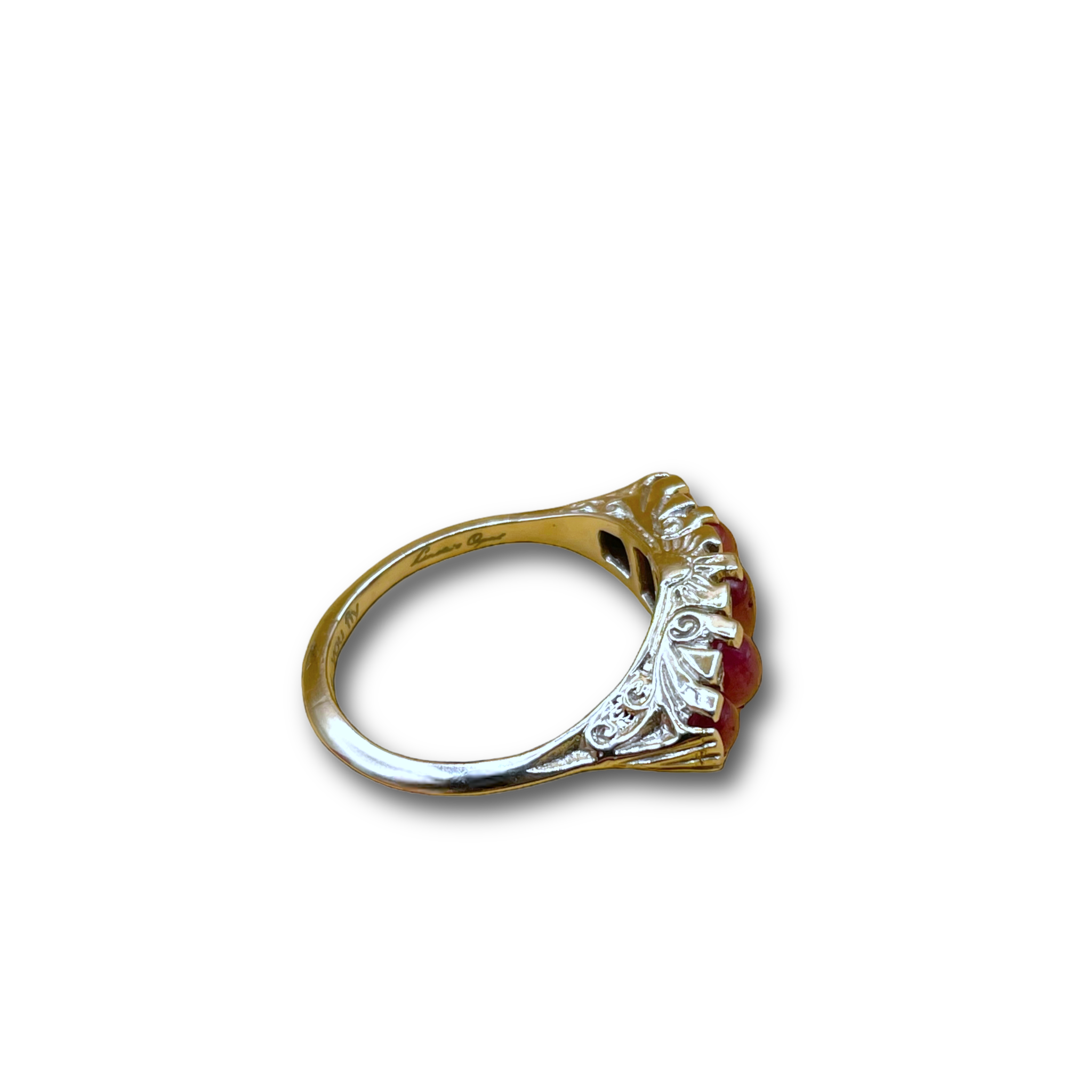 Day and Night robijn