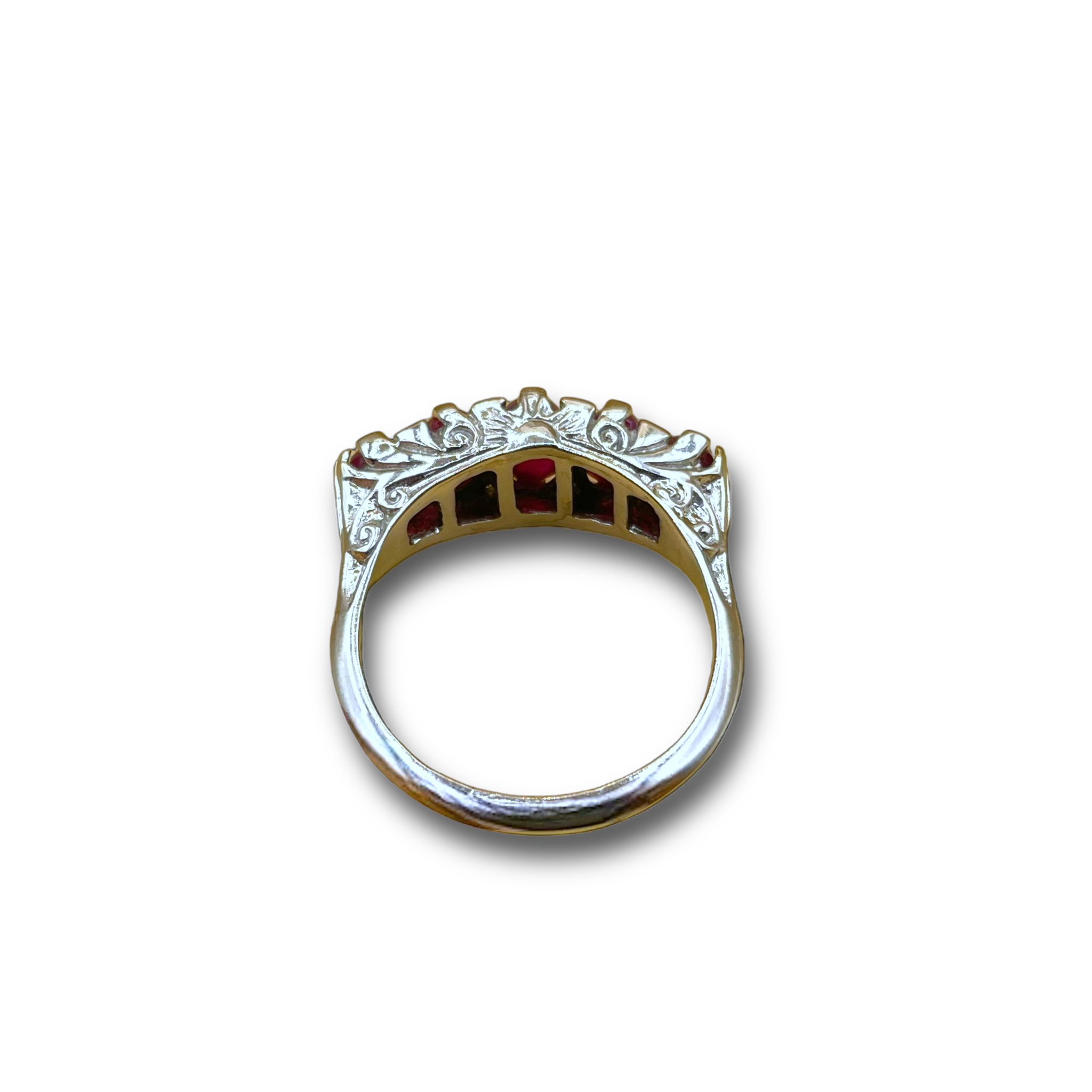 Day and Night robijn