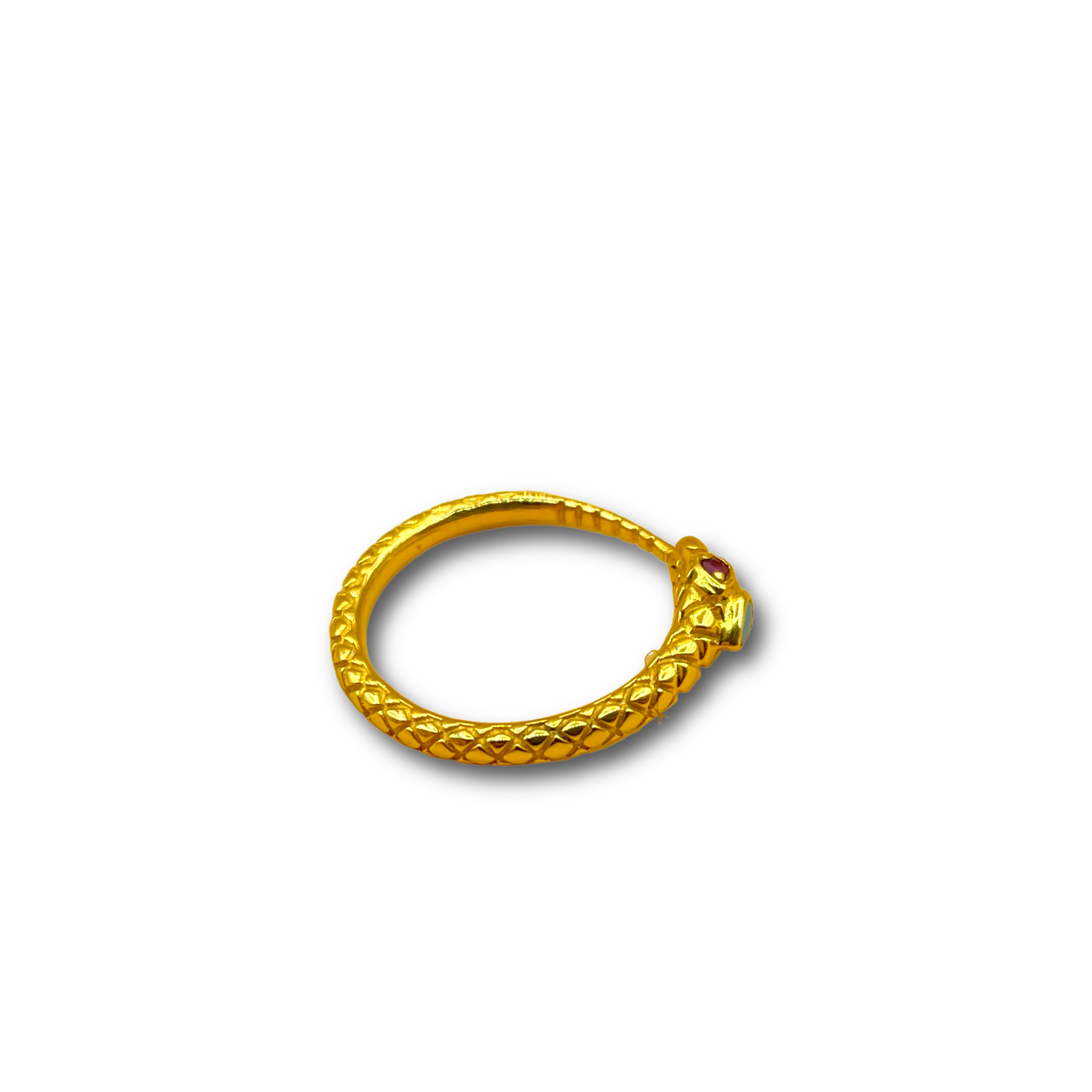 Serpent turquoise  robijn